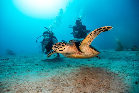 PADI Night Diver