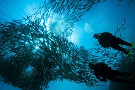 PADI Wreck Diver